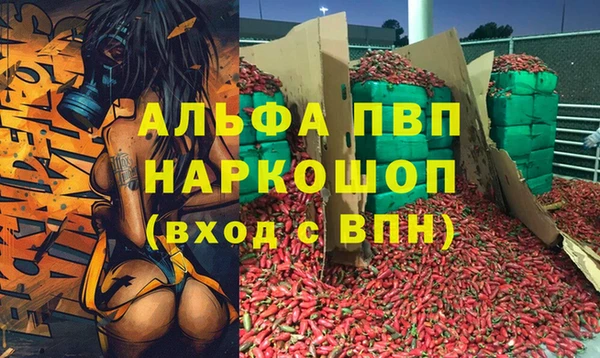 СК Покров