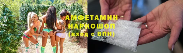 СК Покров